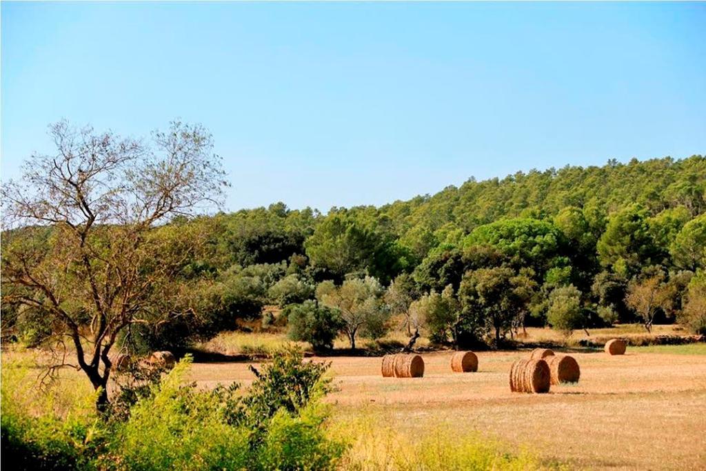 Can Barrull-Costa Brava-Emporda Sant Feliu de Boada Quarto foto